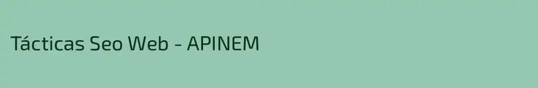 Tácticas Seo Web - APINEM